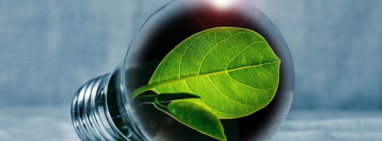 Green Jobs: ecco i 10 lavori più ricercati nella Green Economy